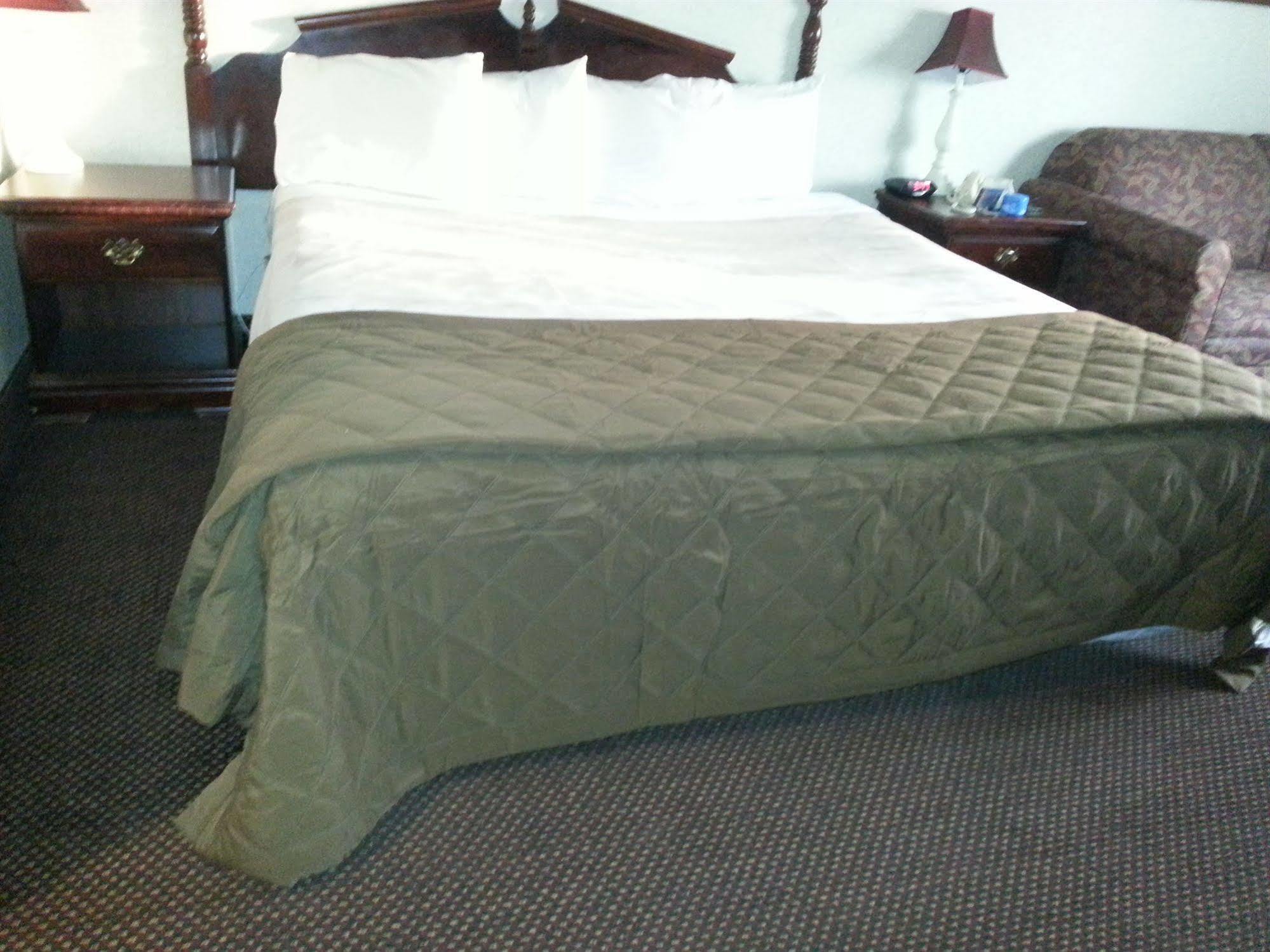Somerset Lofts 部屋 写真